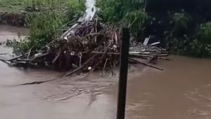 Após chuvas, moradores da Matança do Anil associam alagamentos a obra recente na Av. João Pessoa