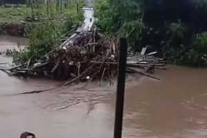 Após chuvas, moradores da Matança do Anil associam alagamentos a obra recente na Av. João Pessoa