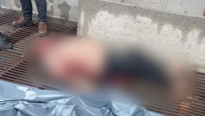 Vigilante morre após ser jogado em silo durante furto em empresa na Estrada de Ribamar