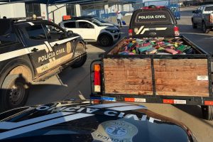 Mais de 1 tonelada de drogas é incinerada pela Polícia Civil e PRF, em Balsas