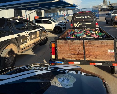 Mais de 1 tonelada de drogas é incinerada pela Polícia Civil e PRF, em Balsas