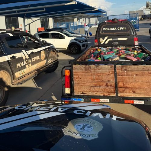 Mais de 1 tonelada de drogas é incinerada pela Polícia Civil e PRF, em Balsas