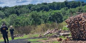 Operação resgata 12 trabalhadores em situação de escravidão no Mato Grosso; maioria é do Maranhão