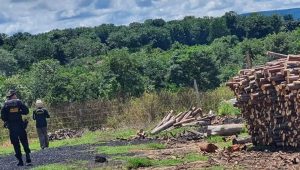 Operação resgata 12 trabalhadores em situação de escravidão no Mato Grosso; maioria é do Maranhão