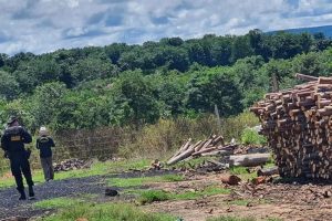 Operação resgata 12 trabalhadores em situação de escravidão no Mato Grosso; maioria é do Maranhão