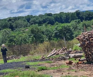 Operação resgata 12 trabalhadores em situação de escravidão no Mato Grosso; maioria é do Maranhão