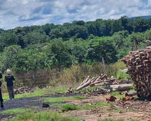 Operação resgata 12 trabalhadores em situação de escravidão no Mato Grosso; maioria é do Maranhão