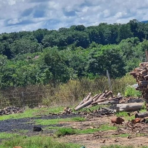Operação resgata 12 trabalhadores em situação de escravidão no Mato Grosso; maioria é do Maranhão