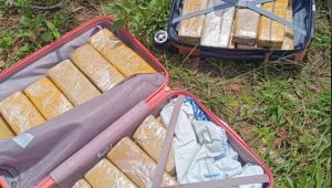 Mulher é detida com 35 barras de drogas em Apicum-Açu