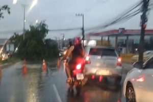 Chuva forte em São Luís: ao menos duas árvores caem em avenidas e veículos sofrem com buracos