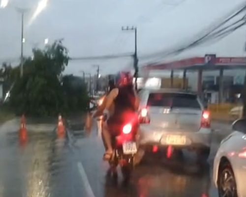 Chuva forte em São Luís: ao menos duas árvores caem em avenidas e veículos sofrem com buracos