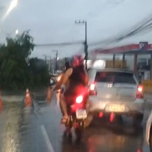 Chuva forte em São Luís: ao menos duas árvores caem em avenidas e veículos sofrem com buracos