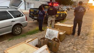 PRF apreende no Piauí alimentos impróprios para consumo que seriam revendidos no MA