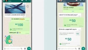 Banco Central autoriza compras com cartões de débito e crédito pelo Whatsapp