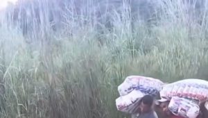 Caminhão tomba na BR-226 em Barra do Corda e tem carga saqueada