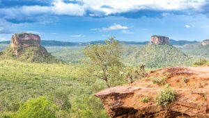 Maranhão registra queda do desmatamento no Cerrado e na Amazônia
