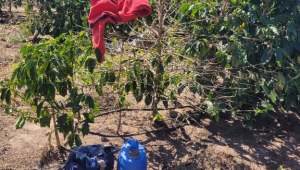 Foto: reprodução/GOV.BR