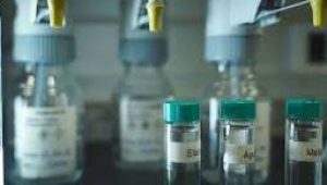 Foto: reprodução internet