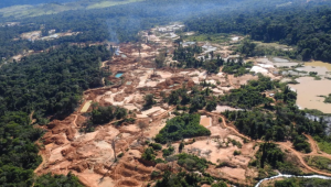 Jogadores e técnico do Moto falam sobre classificação e expectativa para a Copa do Nordeste