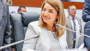 Presidente da Alema, Iracema Vale