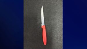 Foto: divulgação/ 10° BPM