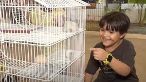 Foto: divulgação/TV DIFUSORA