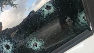 Foto: Reprodução Bandeira 2