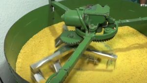 Foto: divulgação/ TVDIFUSORA