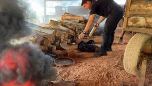 Polícia incinera R$ 25 milhões em entorpecentes na Grande Ilha