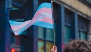 Lei Maria da Penha se estende a casais homoafetivos e mulheres trans