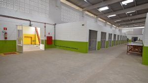 Feirantes do antigo Mercado Central reclamam de redução de pontos e estrutura inadequada no Mercado da Cidade