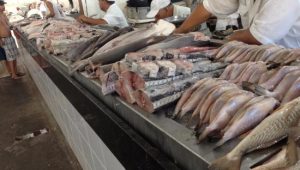 Projeto de Lei Estadual prevê o monitoramento de metais pesados em pescados e mariscos no Maranhão