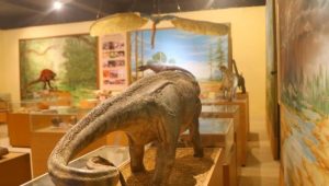 Dia dos Museus: confira um guia com espaços que ajudam a preservar a História