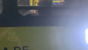 População reage e impede assalto a ônibus no Centro da Capital