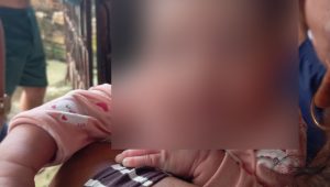 Bebê é encontrada abandonada em pé de árvore em Santa Helena; mãe ainda não foi localizada