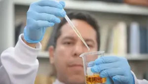 Foto: reprodução internet