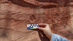 Foto: Bernado Sousa/Iphan

