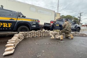 Mais de 200 quilos de “supermaconha” são apreendidos em caminhão frigorífico na BR-135
