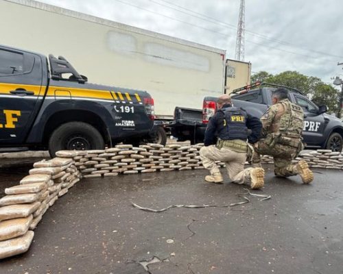 Mais de 200 quilos de “supermaconha” são apreendidos em caminhão frigorífico na BR-135