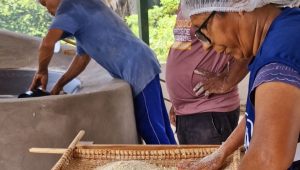 Festival da Farinha de São Luís começa neste sábado (27)