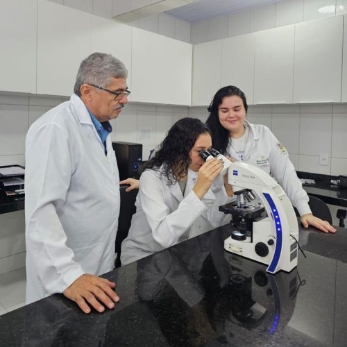 Uema desenvolve pesquisa sobre o diagnóstico mais preciso para leishmaniose canina