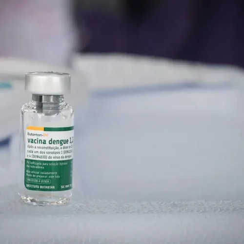 Fonte: Walterson Rosa