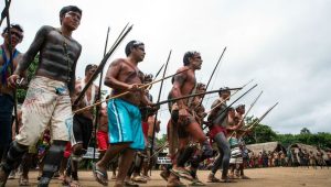 Desocupação da Terra Indígena Ajarani - Yanomami