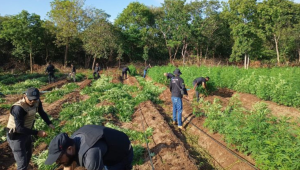 Foto: divulgação/ PC-MA