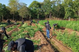 Foto: divulgação/ PC-MA