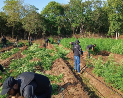 Foto: divulgação/ PC-MA