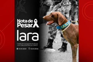 Foto: divulgação/ CBMCE