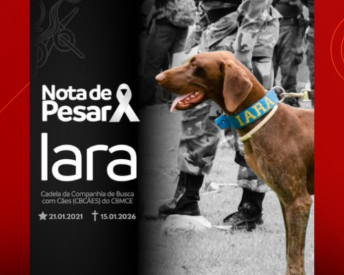 Foto: divulgação/ CBMCE