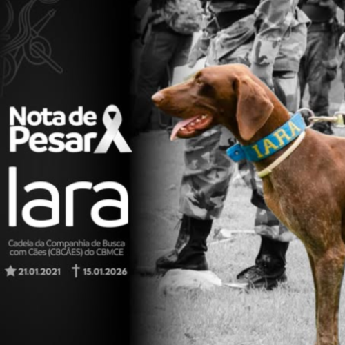 Foto: divulgação/ CBMCE