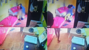 Foto: reprodução/redes sociais